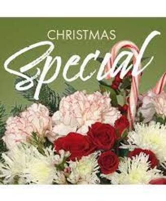 Christmas Designers Choice from Kelley's Florist in Lake Placid, FL