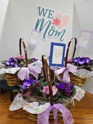 3 Violets in a Basket from Kelley's Florist in Lake Placid, FL
